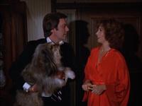 Hart to Hart Stefanie Powers Robert Wagner