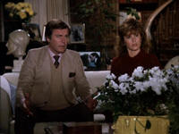 Hart to Hart Stefanie Powers Robert Wagner