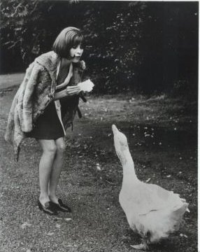 Journey to the Unknown Stefanie Powers