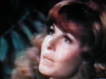 Search Stefanie Powers